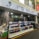 솔골펜션 | [포항여행/1탄] 강아지 동반 포항여행 &#39;횟집진&#39; , &#39;펫글램핑 포항&#39;