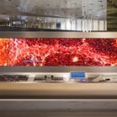 현대제일카 이미지