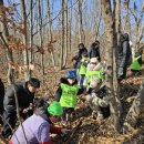 영천시 그린환경센터 | 경상북도영천 곤충채집체험학습, 겨울방학에 강추! (장소 : 영천시그린환경센터부근 학조산)