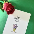 선캘리