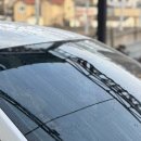 오토클린 | 오토그루밍 유막제거제 클린뷰 후기