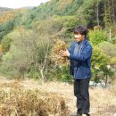 주식회사 농업회사법인 귀농 이미지