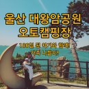 울산 대왕암공원 오토 캠핑장 후기, 출렁다리산책, 180일 된 아기와 캠핑 다녀왔어요!