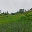 상주 병풍산 고분군 이미지