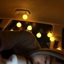 양섬야구장화장실 이미지