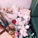 달콩슈
