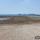 몽산포치킨 이미지