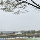 진위천 | 경기도 취사 가능한 무료 피크닉 장소 진위천유원지 토요일 방문 후기