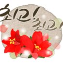 찬스공인중개사사무소 이미지