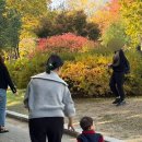 제이소프트 | 임부복 바지: 하우스제이 소프트밴드 팬츠 (밍크&amp;간절기ver)