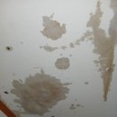 석적농협 중리지점 | 구미 구평동 원룸상가 천장 누수 시공 후기 - 배관 수리부터 보일러실 방수까지 해결!