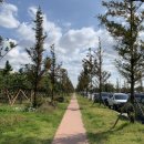 솔찬공원 이미지