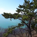 남해-159 이미지