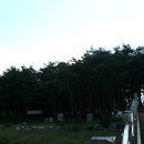 장풍숲위 이미지