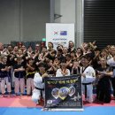 VIP태권도 이미지