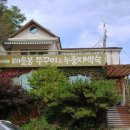 태을봉쭈꾸미&누룽지백숙 이미지