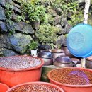 정자나무집 이미지