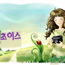 클릭앤초이스 이미지