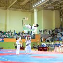 대학태권도체육관 이미지