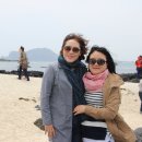 애인 Daum카페