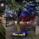 썬그린㈜ 이미지