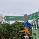 북촌환해장성 이미지