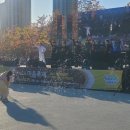 라인댄스 심화반(1) 이미지