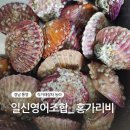 호령영어조합법인 | 오늘의 농라, 통영 &#34;홍가리비&#34;는 &lt;일신영어조합법인&gt;