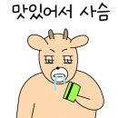 미소과메기