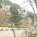 다산농원