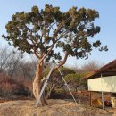 금파농장 이미지