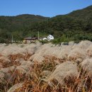 미당시문학관 관광안내소 이미지