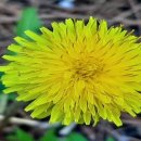 통미마을회관 이미지