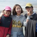 순천만여행 이미지