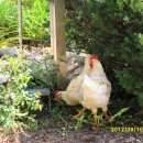 소양강자전거길 이미지