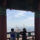 임학공원 출렁다리 이미지