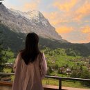 아이거 | 스위스 그린델발트 숙소 추천, 융프라우 로지 아넥스 크리스탈 2박 후기 (아이거 북벽 뷰, 조식,가격)