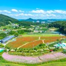 용수골농장 이미지