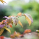 인아트스튜디오 이미지