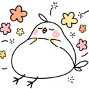 연우롭다 이미지