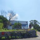 신뮤지엄 이미지