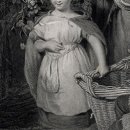 콘페티.야드 이미지