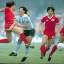 수 Daum카페
