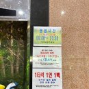 원클럽 골프연습장 | 남양주 화도 그린힐골프클럽 인도어 연습장 재등록 후기｜시설·가격·쿠폰정보 ·식당추천