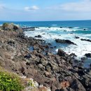 선동목장 이미지