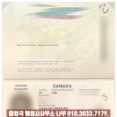 행정사사무소 나무 이미지