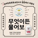 킨더퍼피 이미지