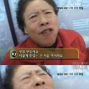 초원장 이미지