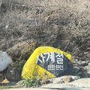 충북 영동 물한 계곡 캠핑장 사계절 타프 캠핑 펜션 전 사이트 타프 캠핑장