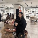 한섬 마인 캐시미어 블렌드 크롭자켓&amp;퀼티드패딩+ 시에 이브 하프 팬츠+웰던 가디건 후기 (feat. 셀린느)